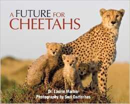 A Future for Cheetahs photography by Suzi Eszterhas 